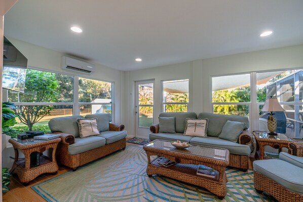 Smart TV, DVD player, books, video library