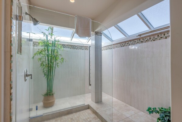 A modern shower area with a glass enclosure, a potted bamboo plant, and a skylight.