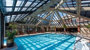 En indendørs swimmingpool med et glasloft, liggestole og potteplanter.