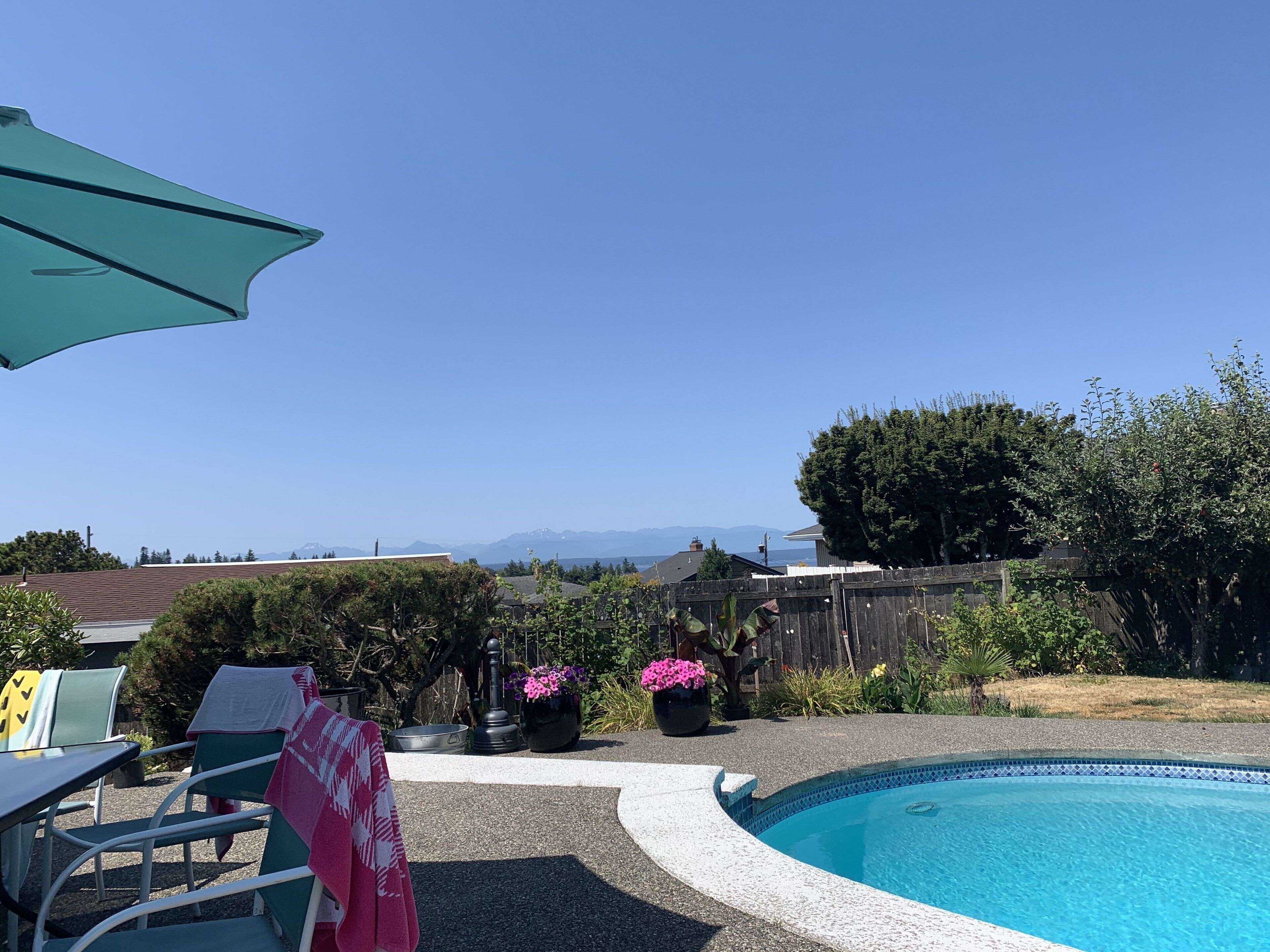 Daytime view from patio- pool is unable to be used by guests at this time 