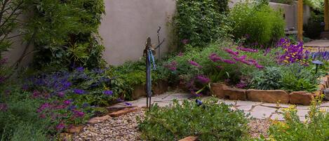 Un jardín con diversas plantas y flores, una pérgola de madera y un camino de piedra.