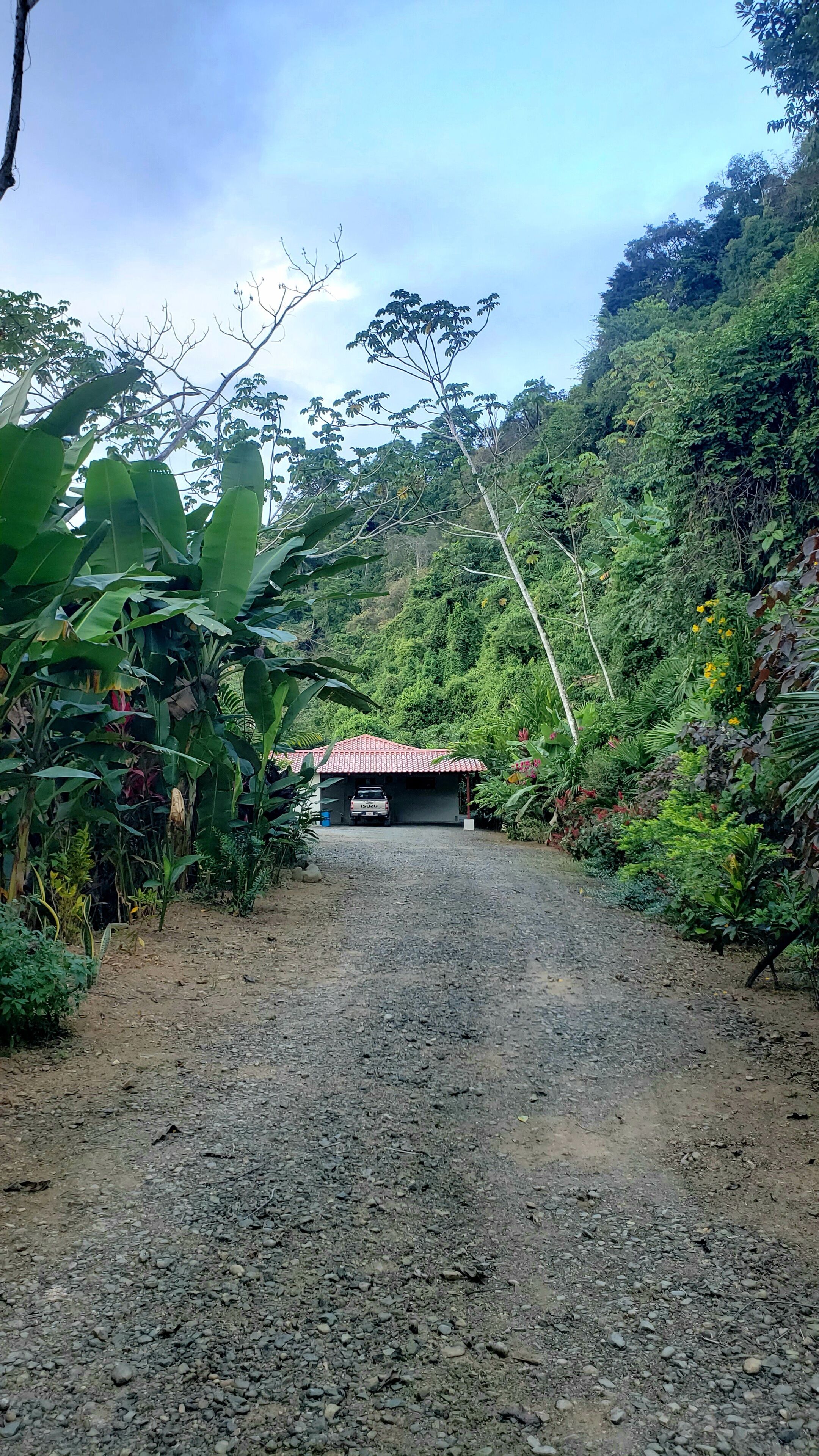 Terrain de l’hébergement 