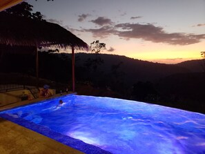 Outdoor pool - Casa Kendall Baru, Ocean Views Infinity Pool Bliss Jungle Oasis Above Dominical (Barú)