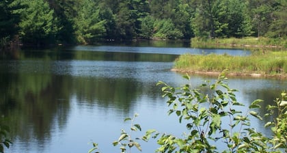 Tall Pines Lodge- Cottages On Serenity Lake- Sitting on 80 Acres Of Wildlife!