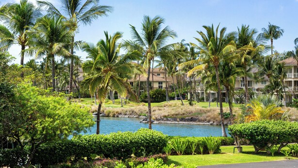 Un resort con palmeras, una piscina y vistas a los edificios.