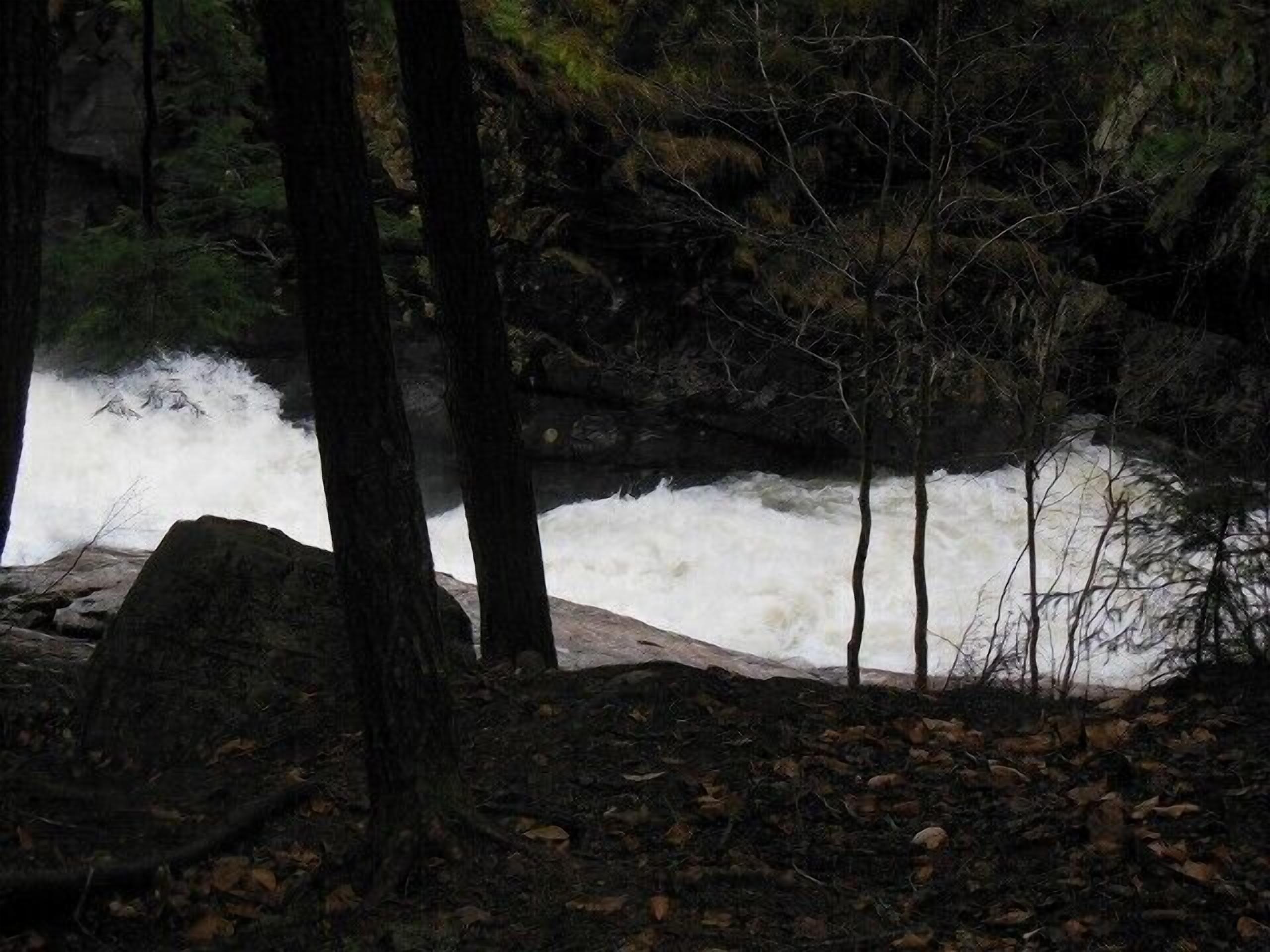 Un área boscosa con un río caudaloso.