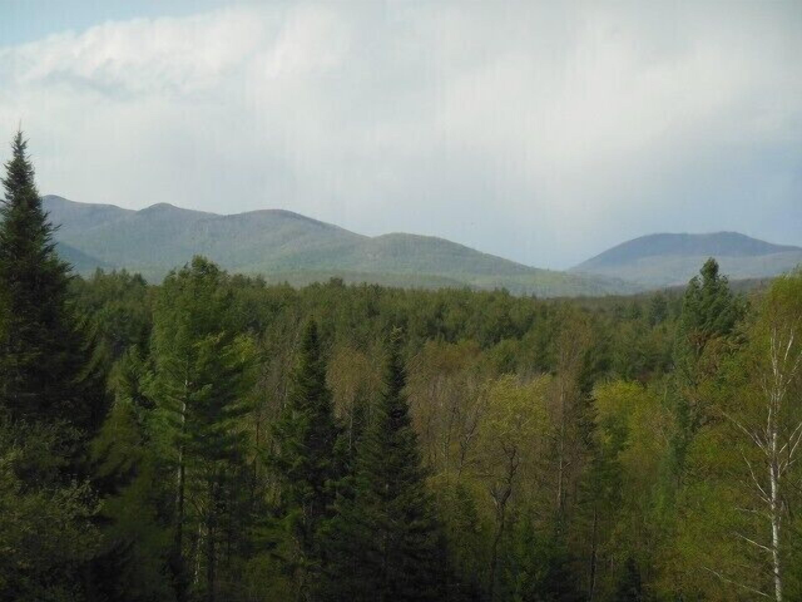 A forested mountain landscape with dense trees and distant hills.