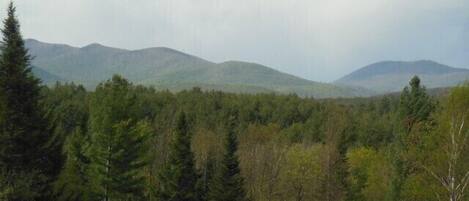 A forested mountain landscape with dense trees and distant hills.