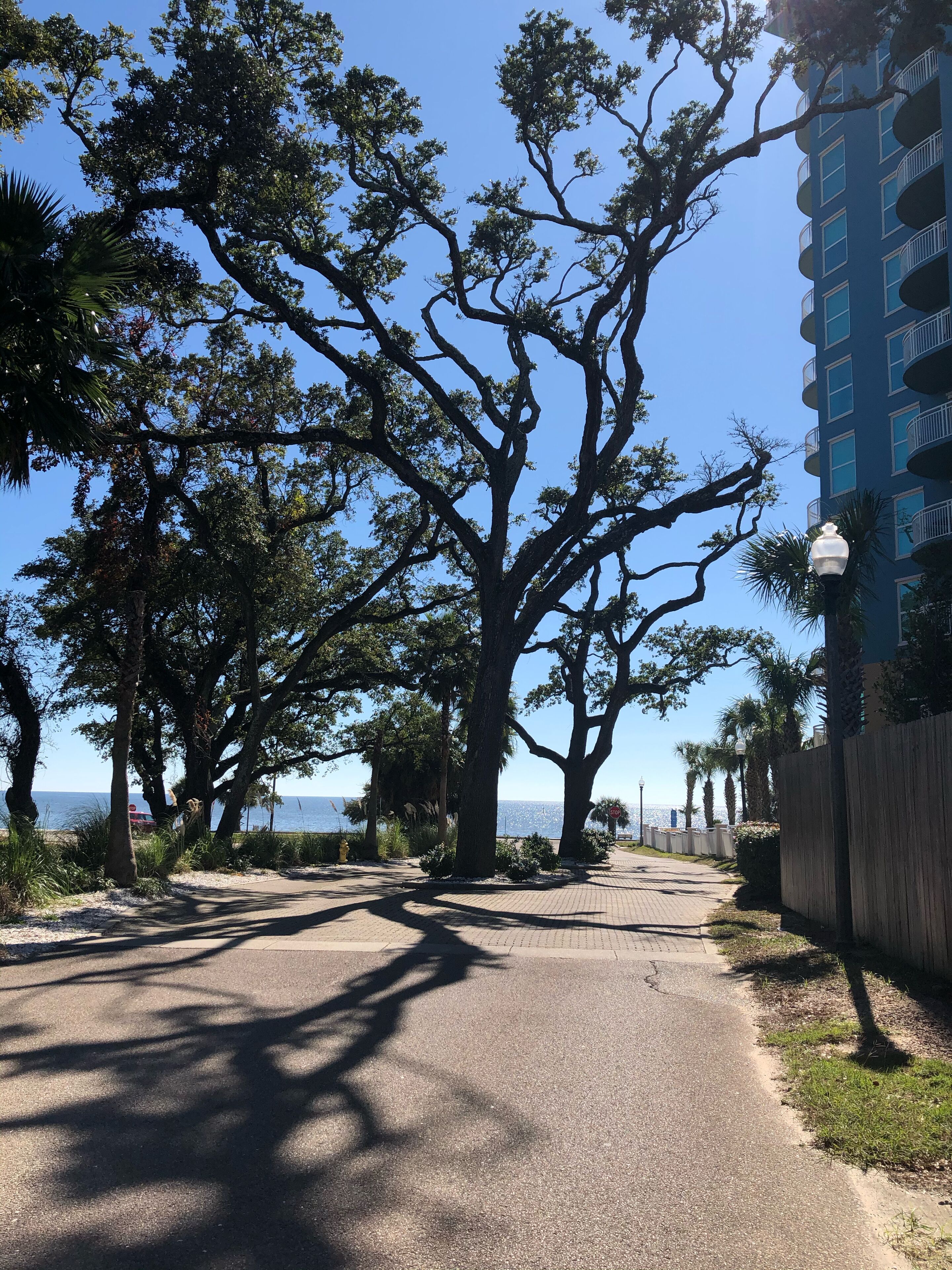Easy, pleasurable walk to beach . 