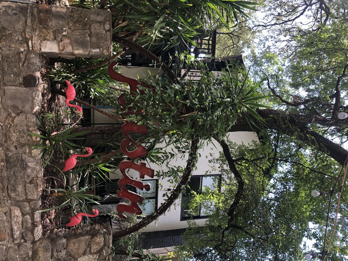 Photo 6 of In the Heart of Austin's SOCO District