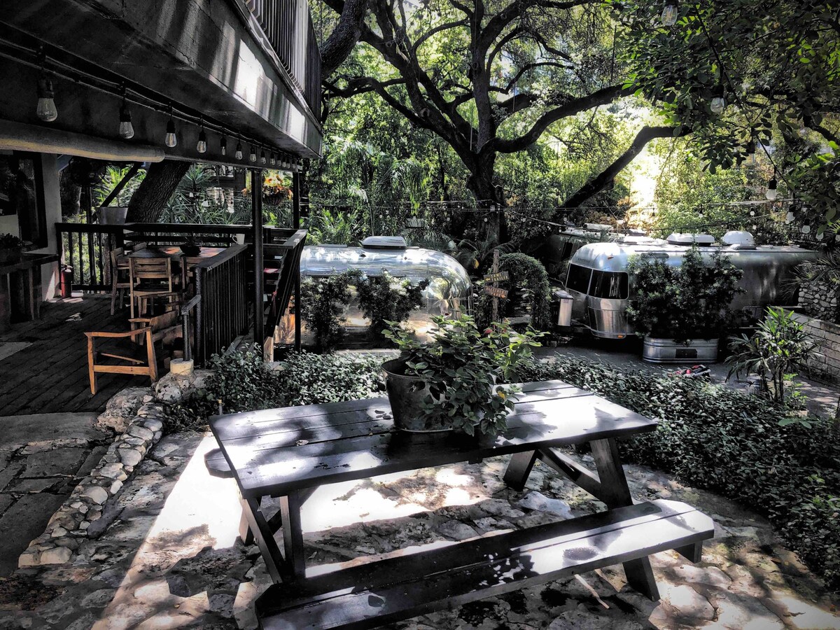 Photo 21 of In the Heart of Austin's SOCO District