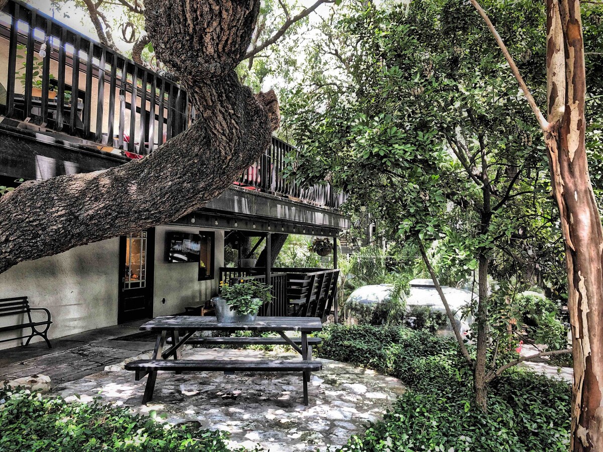Photo 4 of In the Heart of Austin's SOCO District
