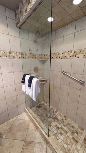 Ensemble douche/baignoire, sèche-cheveux, serviettes fournies, savon