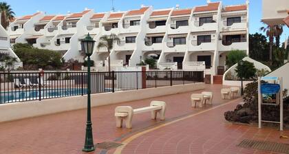 Gemütliches Zimmer in toller Wohnung