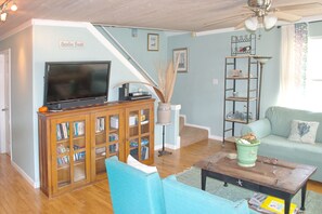 TV, DVD player, books, video library