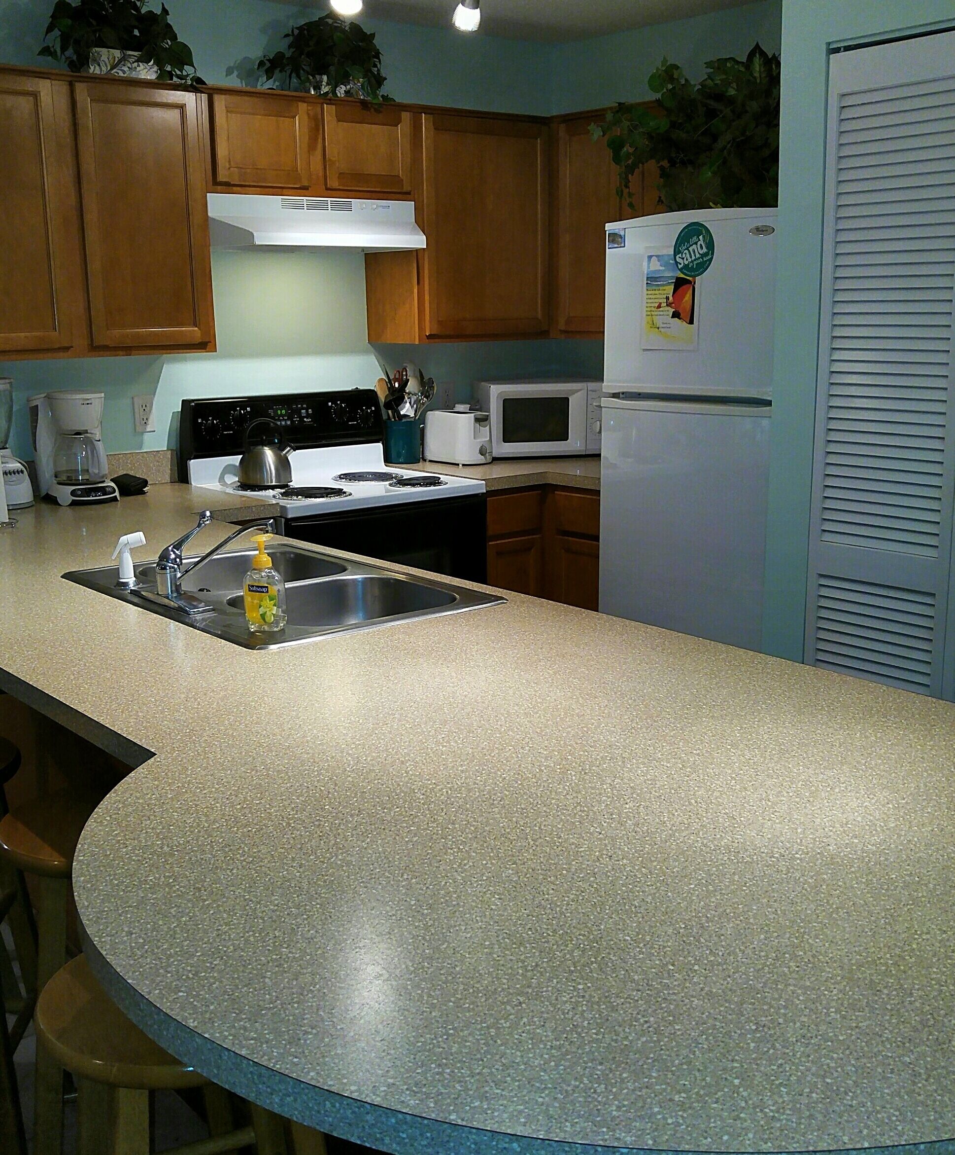 Snowbird Special! Newly Renovated Beachfront Condo!
