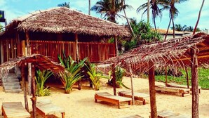 A beachside resort with thatched-roof huts, wooden lounge chairs, and palm trees. - Malika's Yellow House (Hikkaduwa)