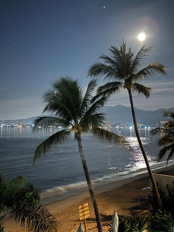 A beach with palm trees, a wooden sign, and a cityscape in the background.