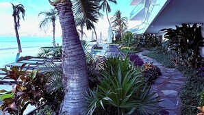 A pathway lined with tropical plants and palm trees leading to a pool area. - Beautifully decorated Beachfront/Oceanfront Luxury Condo in Bucerias  (Bucerias)