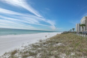 Una playa cerca