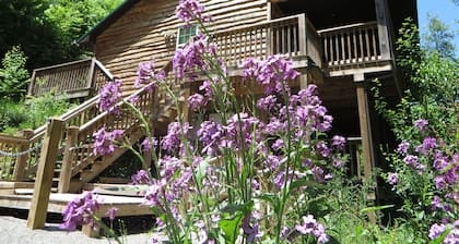 Chalet de montagne isolé sur un grand domaine avec chute d'eau, sentiers de randonnée et ruisseau
