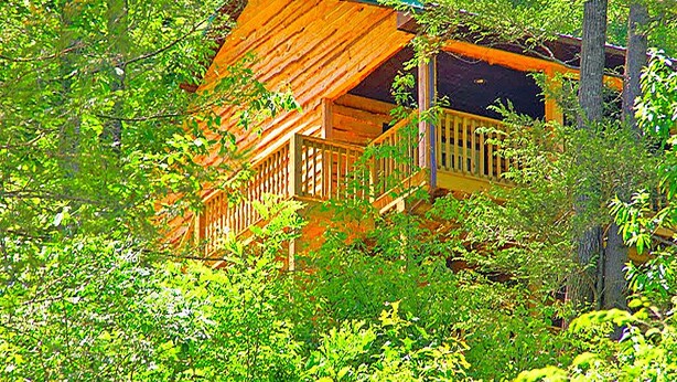 Una cabaña de madera con techo inclinado, rodeada de frondosa vegetación verde.