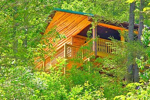 A wooden cabin with a sloped roof, surrounded by dense green foliage. - Secluded Mountain Cabin on a Large Estate with Water Fall, Hiking Trails & Creek (Bristol)