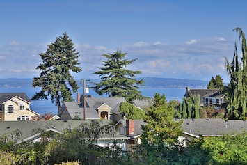 View of Salish sea