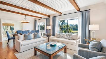 Televisión, reproductor de DVD, libros