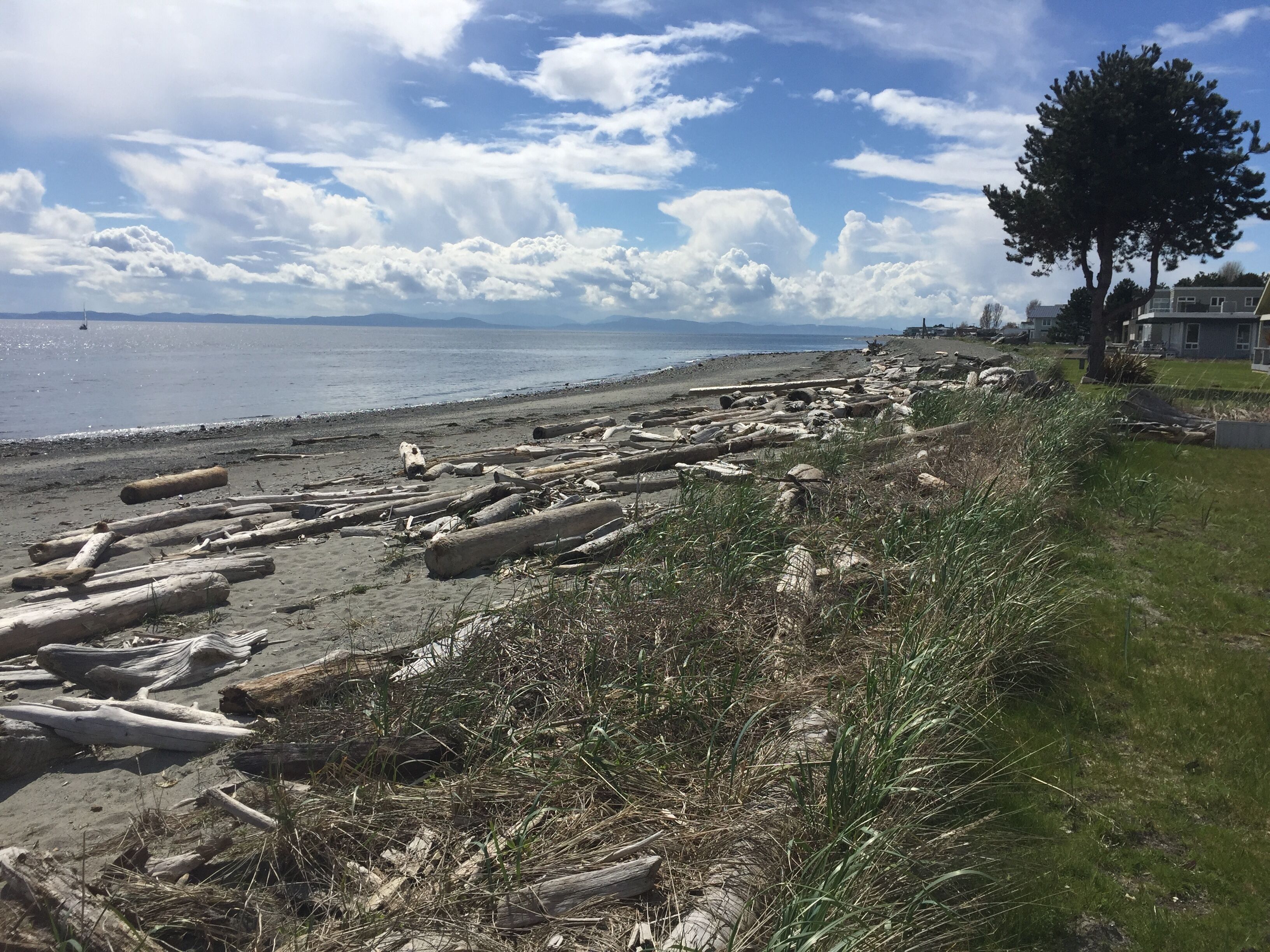 Spectacular Water-Front Beach House In Point Roberts Marina Neighborhood