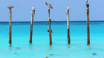 Playa en los alrededores