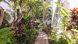 A narrow concrete pathway flanked by lush tropical plants and trees, leading to a building with a white exterior.