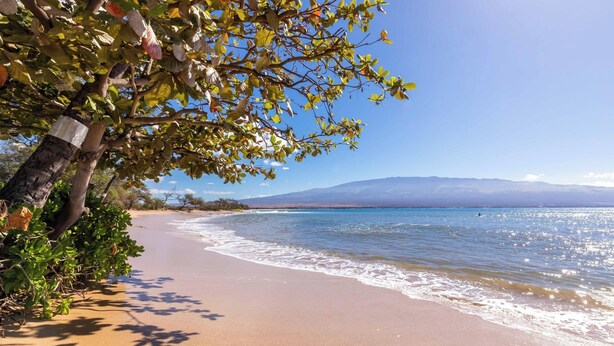 A beach with clear skies, a sandy shore, and a mountain in the distance.