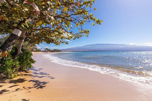 Makani A Kai B7  Maui Beachfront Condo with Beach View in Maalaea