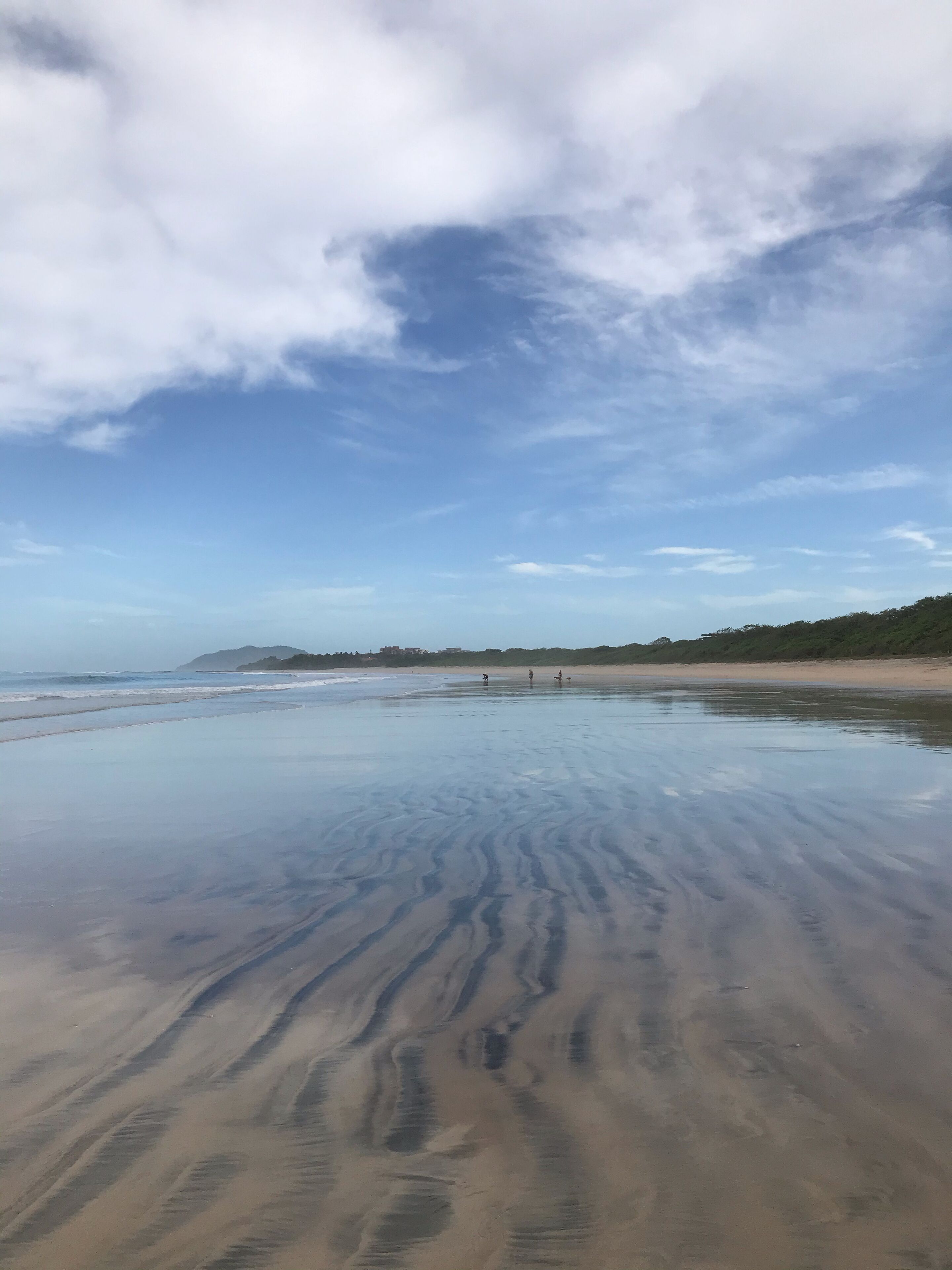 Tumbonas y toallas de playa