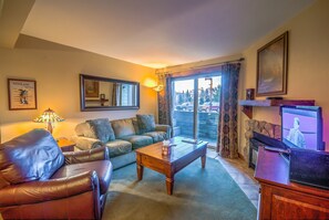 Smart TV, fireplace, DVD player, books