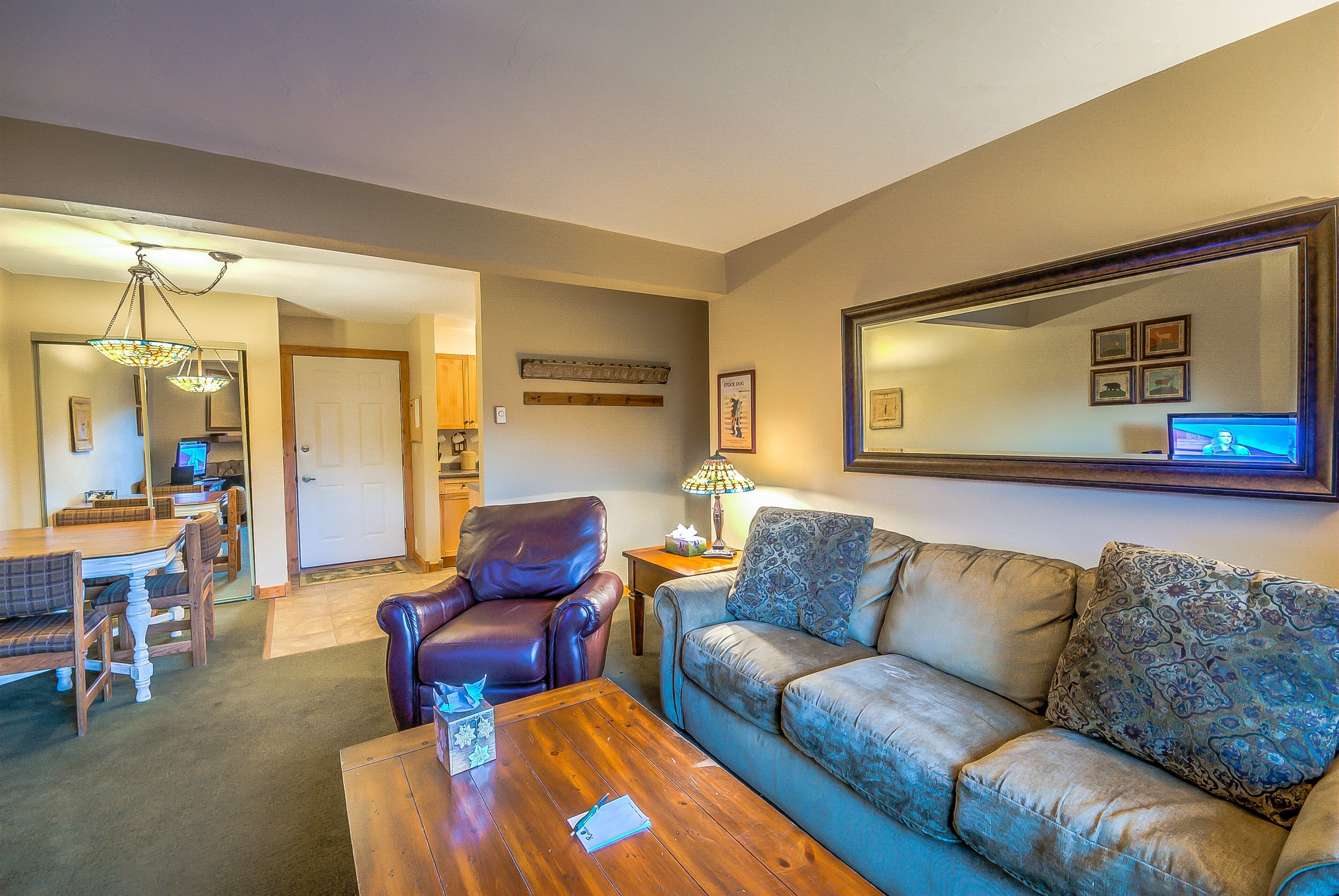 Smart TV, fireplace, DVD player, books