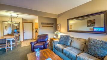 Smart TV, fireplace, DVD player, books