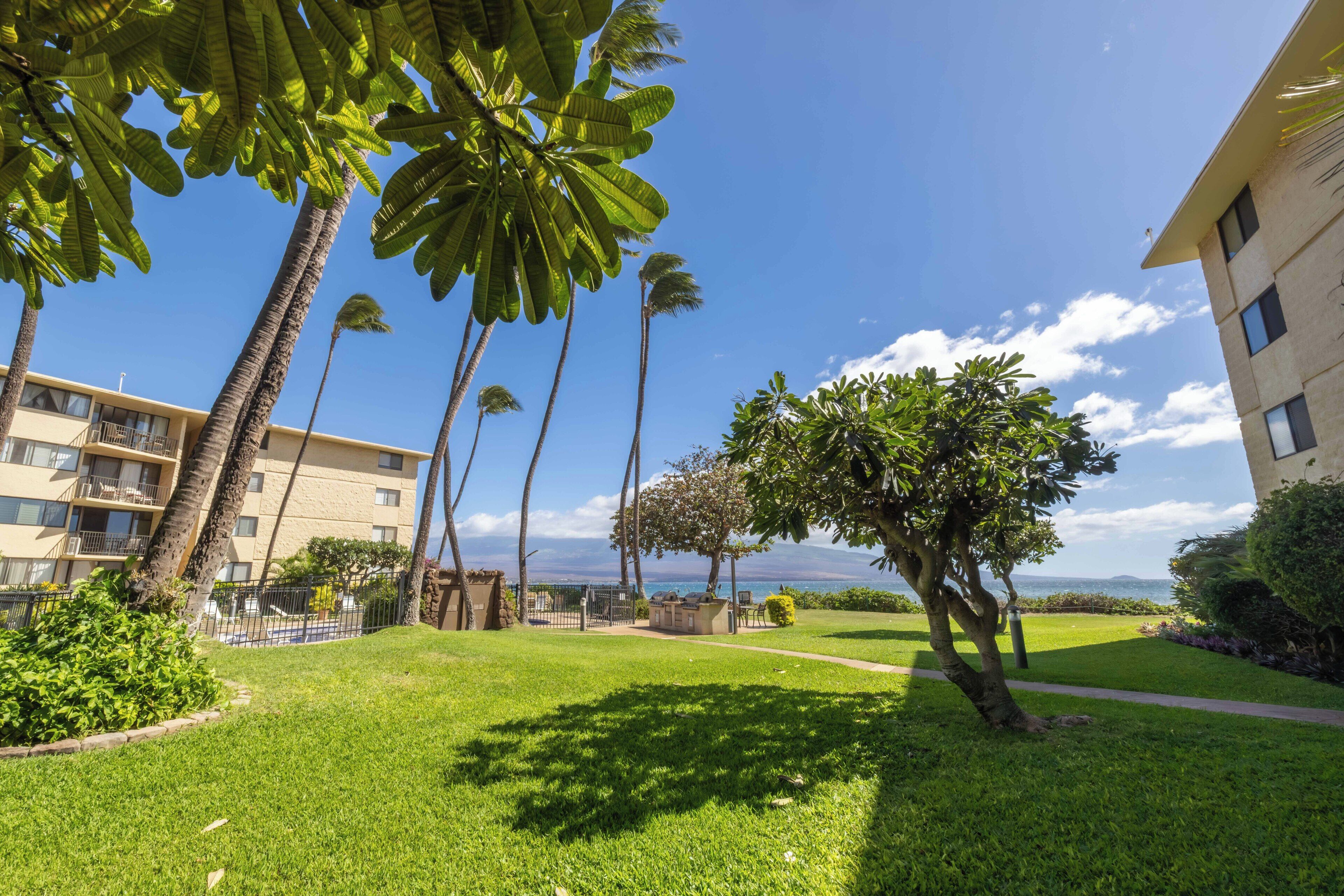 A well-maintained courtyard with palm trees, a pathway, and a view of the ocean.