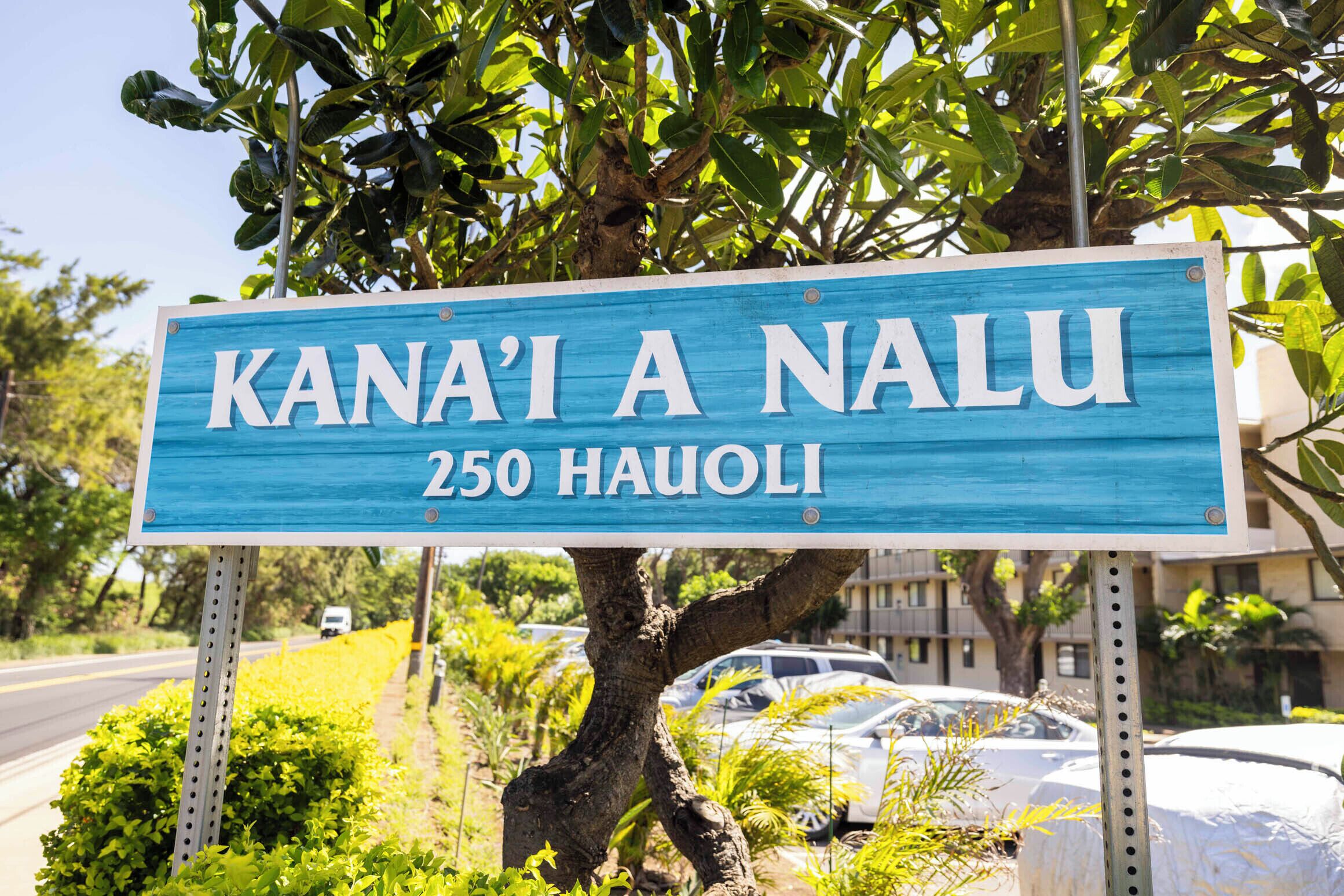 Une pancarte portant l’inscription « KANAI A NALU 250 HAUOLI » indiquant un lieu.
