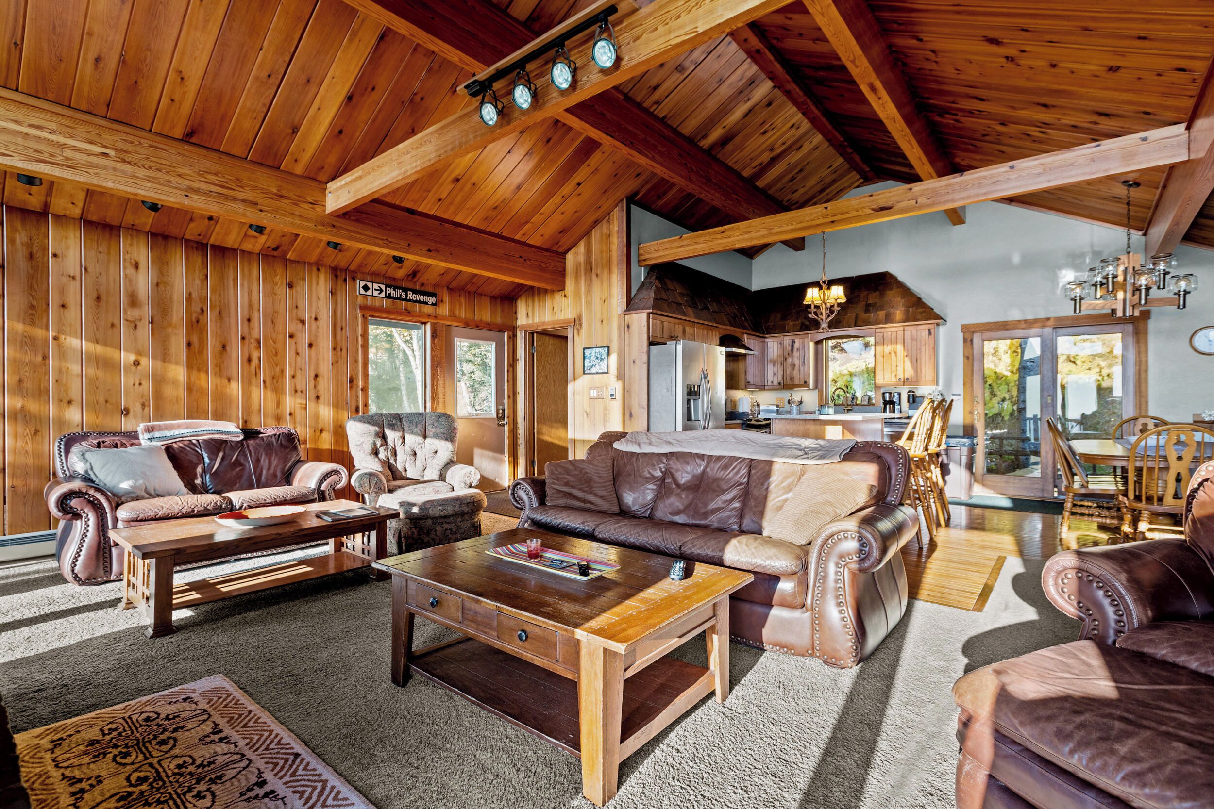 TV connectée, cheminée, lecteur de DVD, chaîne hi-fi