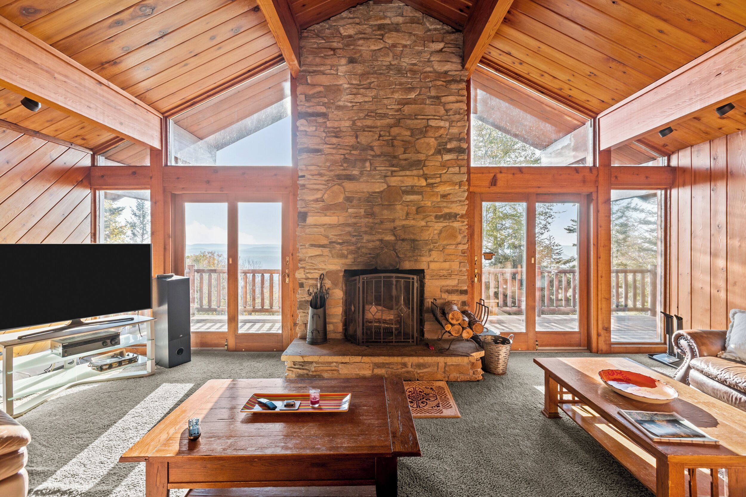 Smart TV, fireplace, DVD player, stereo