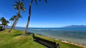 A bench by a clear blue ocean with palm trees and mountains in the background. - Best Papakea Location - Incredible Ocean View - Fully Renovated (Lahaina)