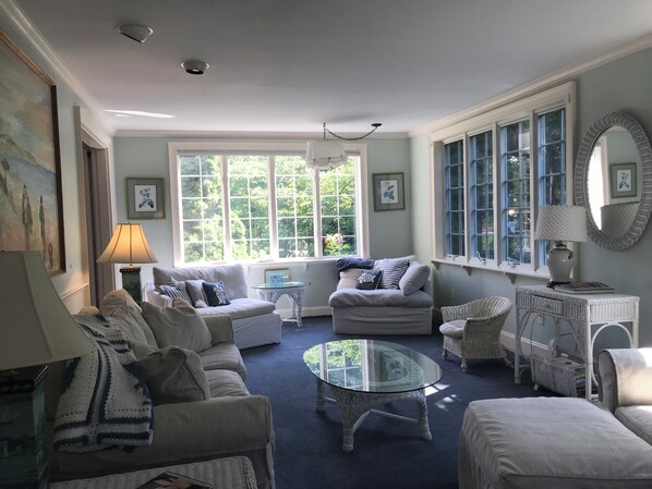 Smart TV, fireplace, video games, DVD player