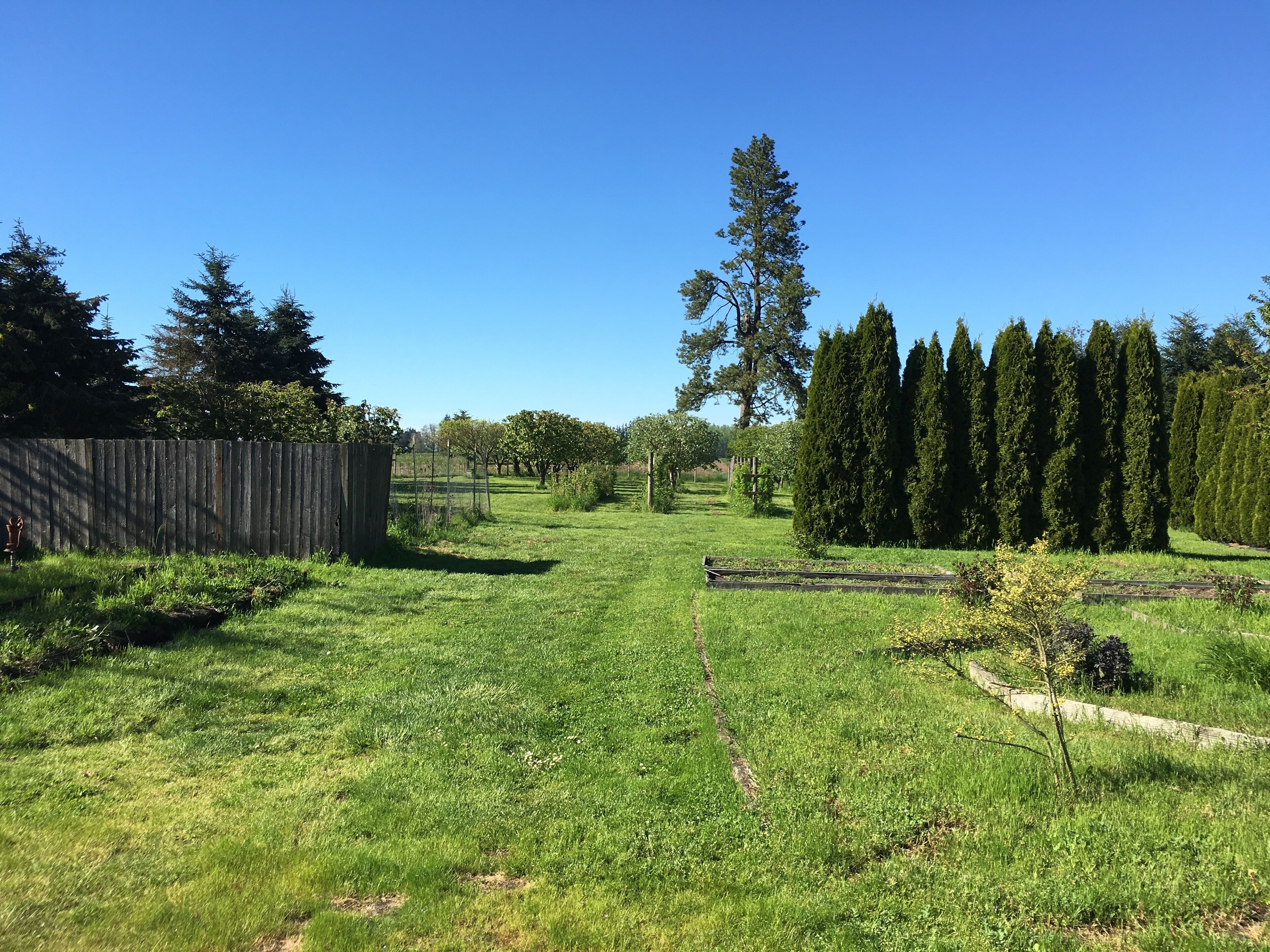 Un campo cubierto de hierba con una valla de madera, árboles y un cielo azul despejado.