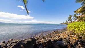 A rocky beach with palm trees and a clear view of the ocean.