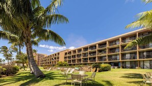A multi-story hotel with balconies, a pool area, and palm trees.