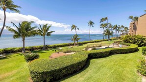 A well-maintained garden with a circular lawn, palm trees, and a view of the ocean.