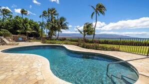 A swimming pool with a stone deck, surrounded by palm trees and a view of the ocean.
