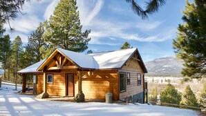 A wooden cabin with a snow-covered roof, surrounded by tall pine trees and a mountainous backdrop. - Bitterroot Bunkhouse (Hamilton)